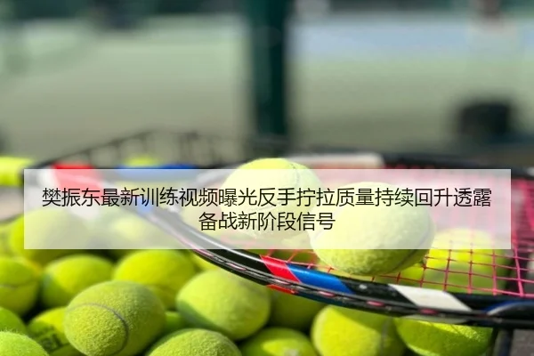 樊振东最新训练视频曝光反手拧拉质量持续回升透露备战新阶段信号