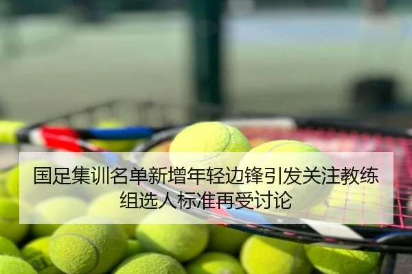 国足集训名单新增年轻边锋引发关注教练组选人标准再受讨论